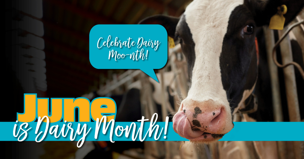 National Dairy Month 2021 – IMPA